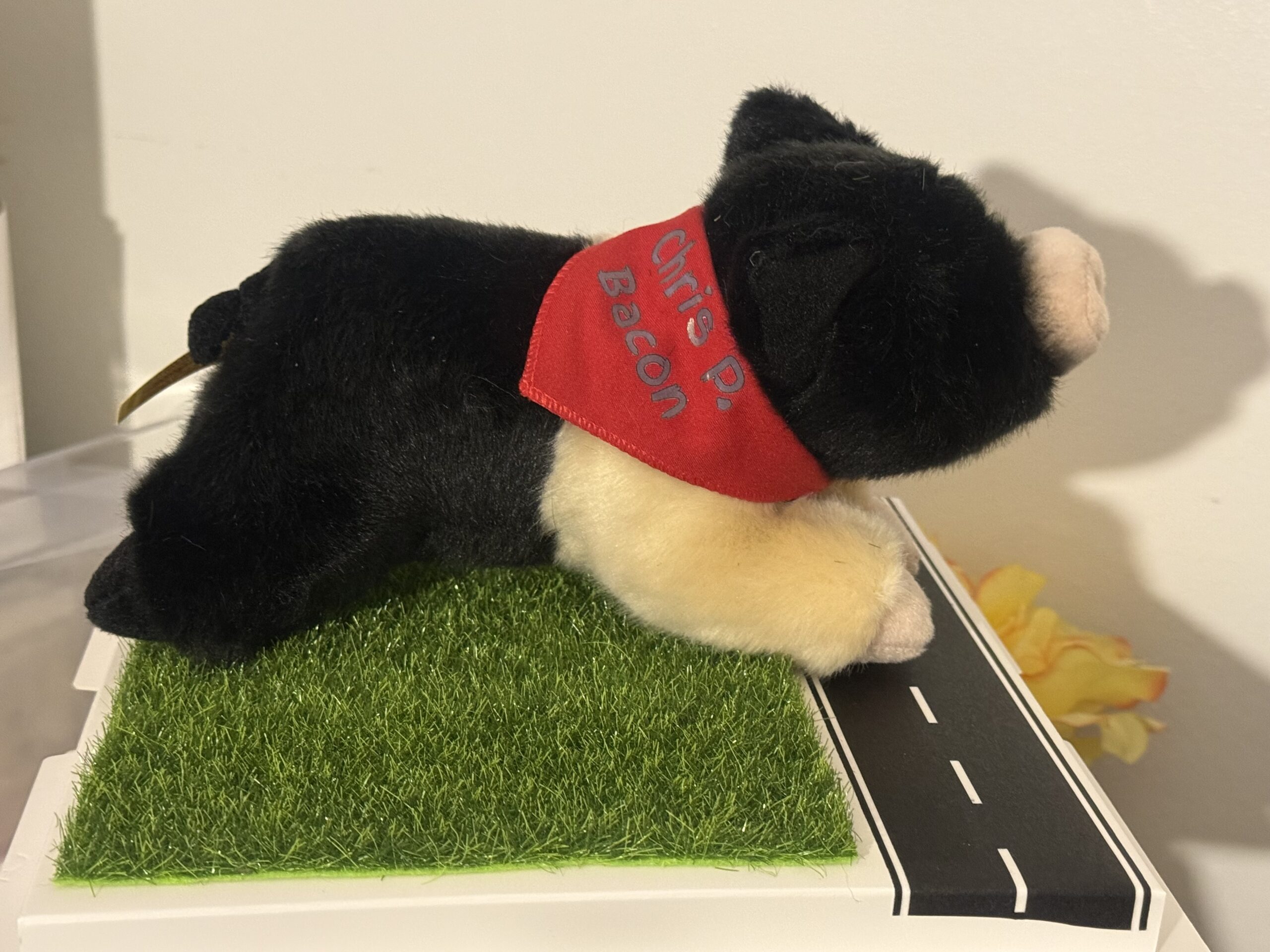 Chris P Bacon of Cumberland County Plushie and Display Box: LIMITED EDITION - Image 3