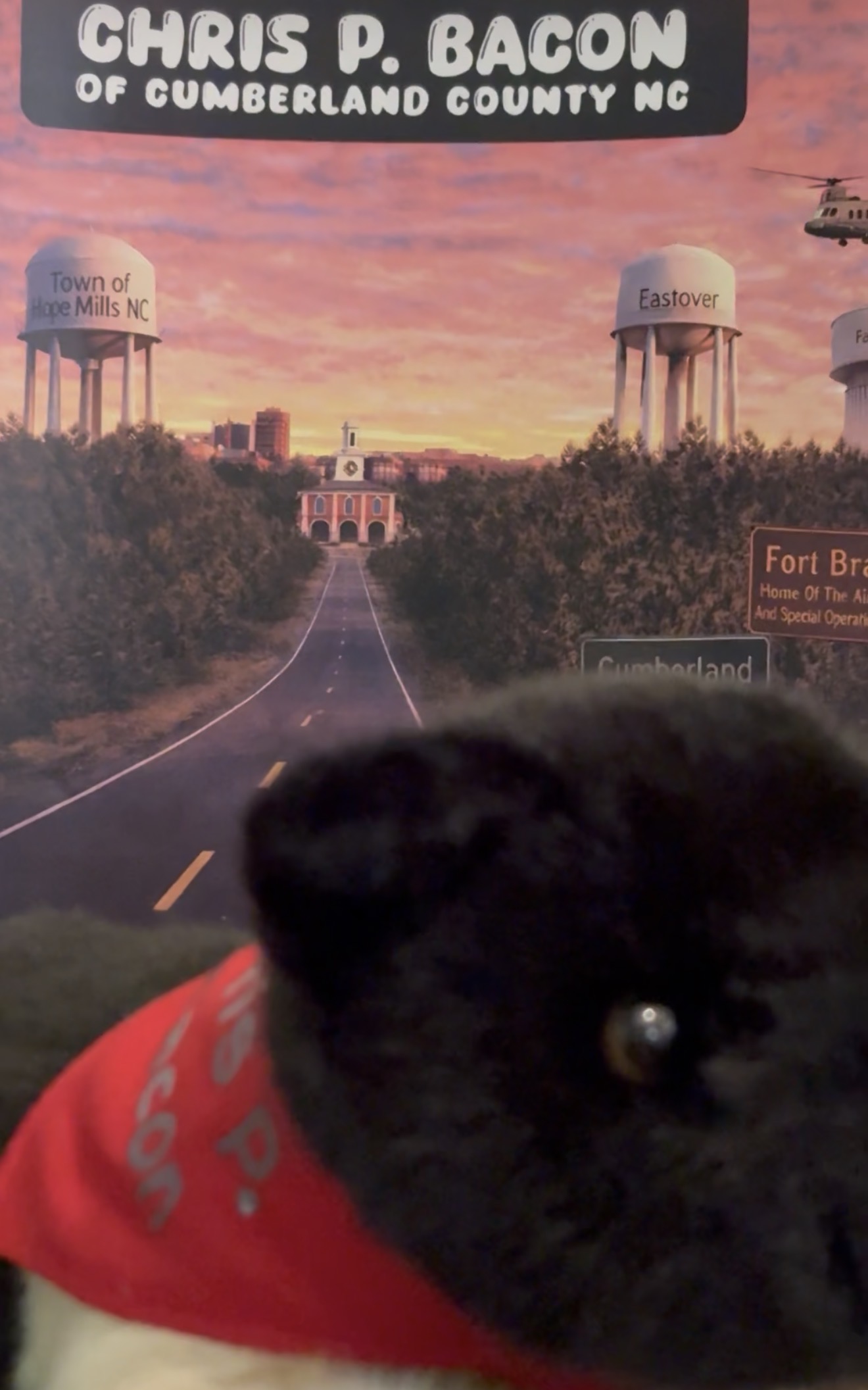 Chris P Bacon of Cumberland County Plushie and Display Box: LIMITED EDITION - Image 6