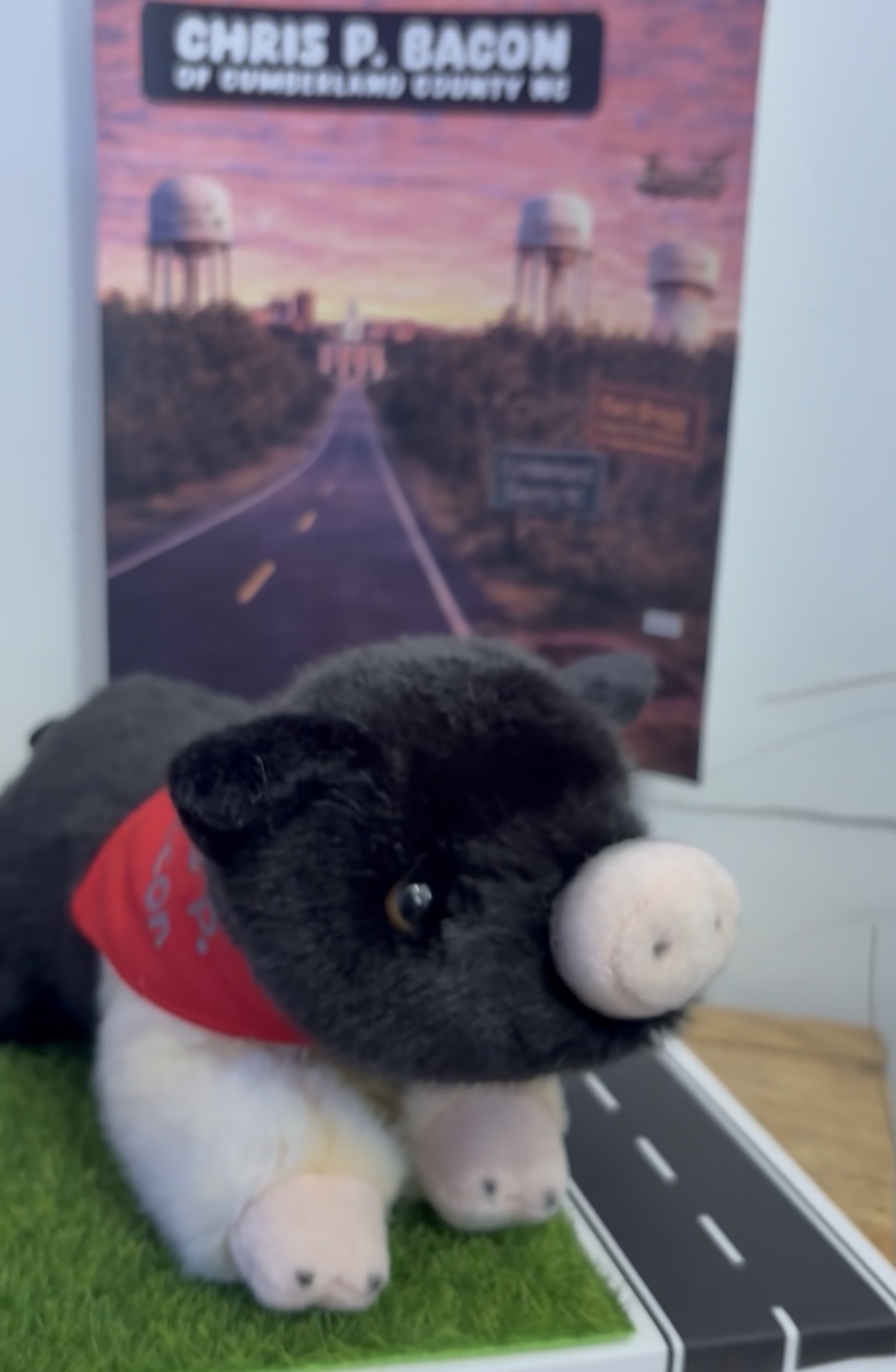 Chris P Bacon of Cumberland County Plushie and Display Box: LIMITED EDITION - Image 5