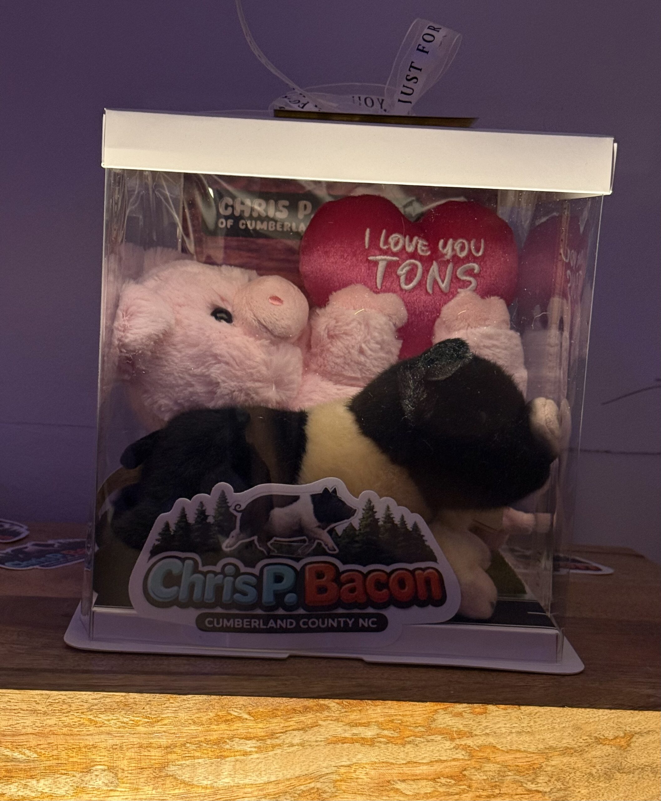 Chris P & Barbie Q COMBO Plushie and Display Box LIMITED EDITION Valentines 2026 - Image 14