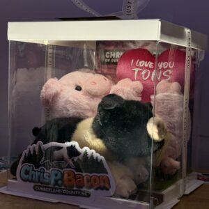 Chris P & Barbie Q COMBO Plushie and Display Box LIMITED EDITION Valentines 2026