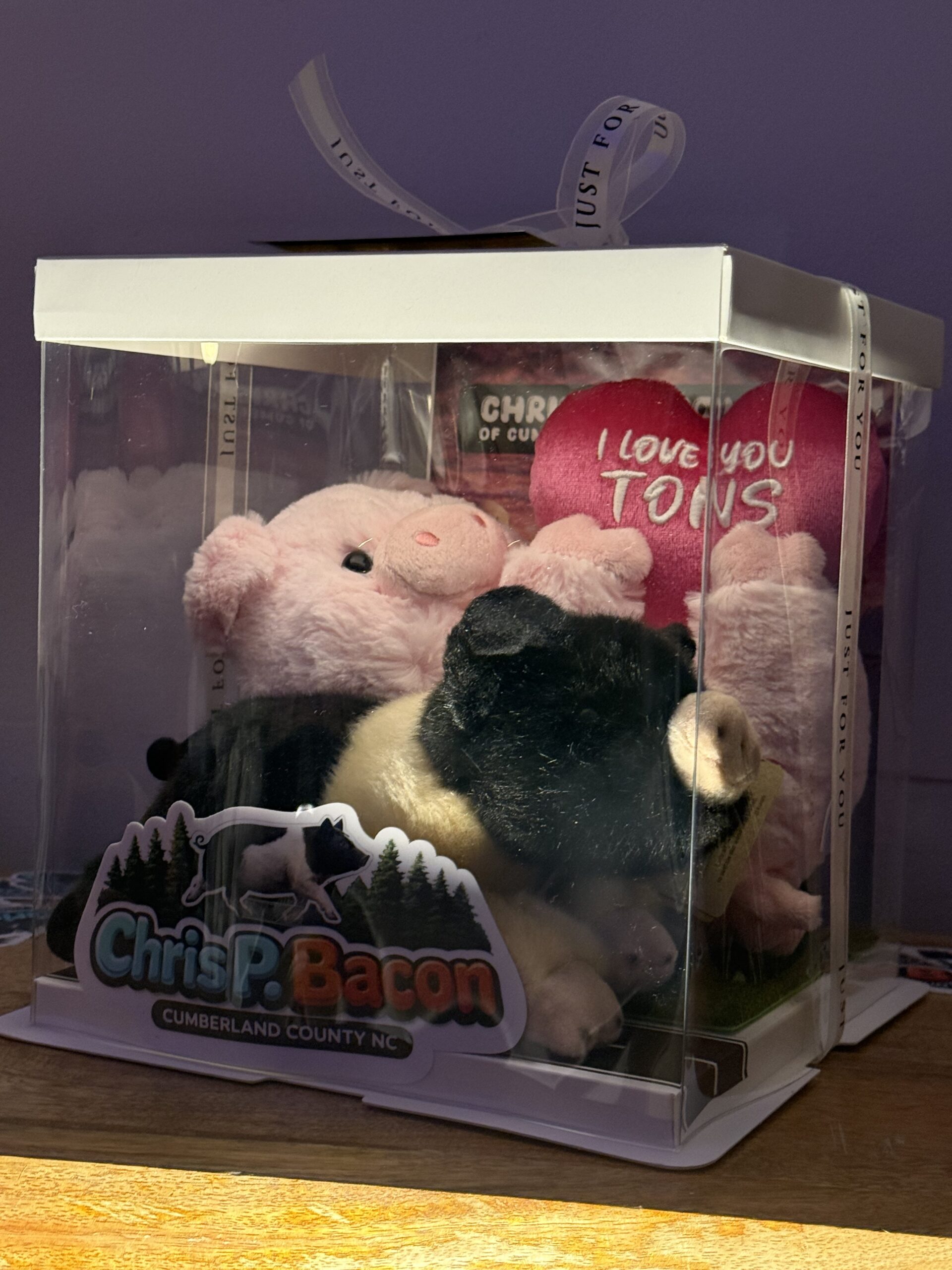 Chris P & Barbie Q COMBO Plushie and Display Box LIMITED EDITION Valentines 2026