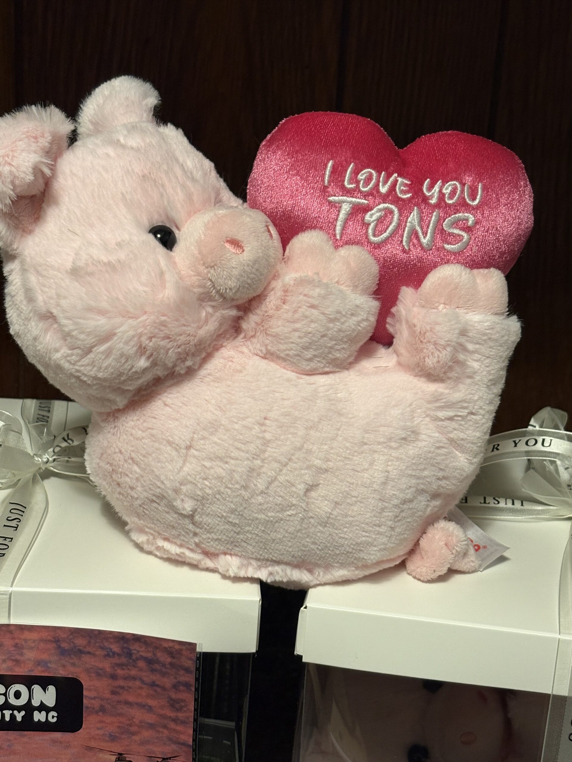 Barbie Q plushie - Image 3