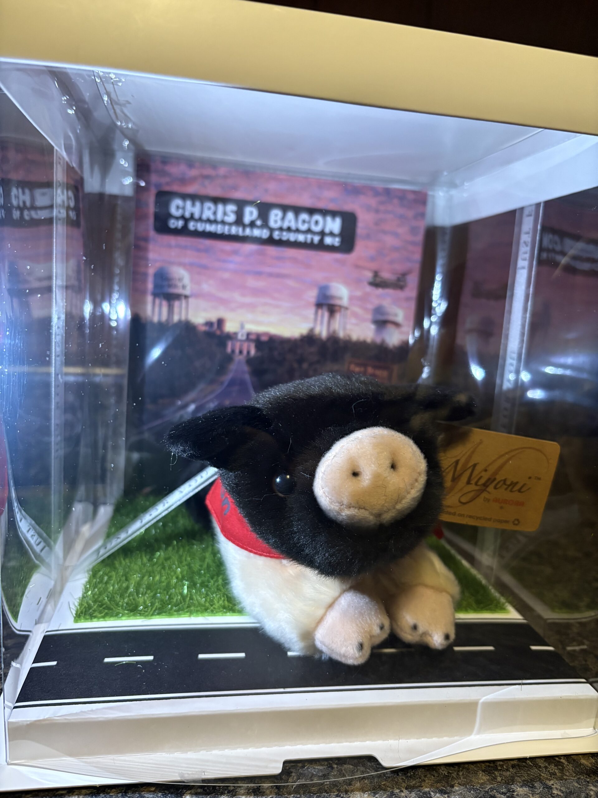 Chris P Bacon of Cumberland County Plushie and Display Box: LIMITED EDITION