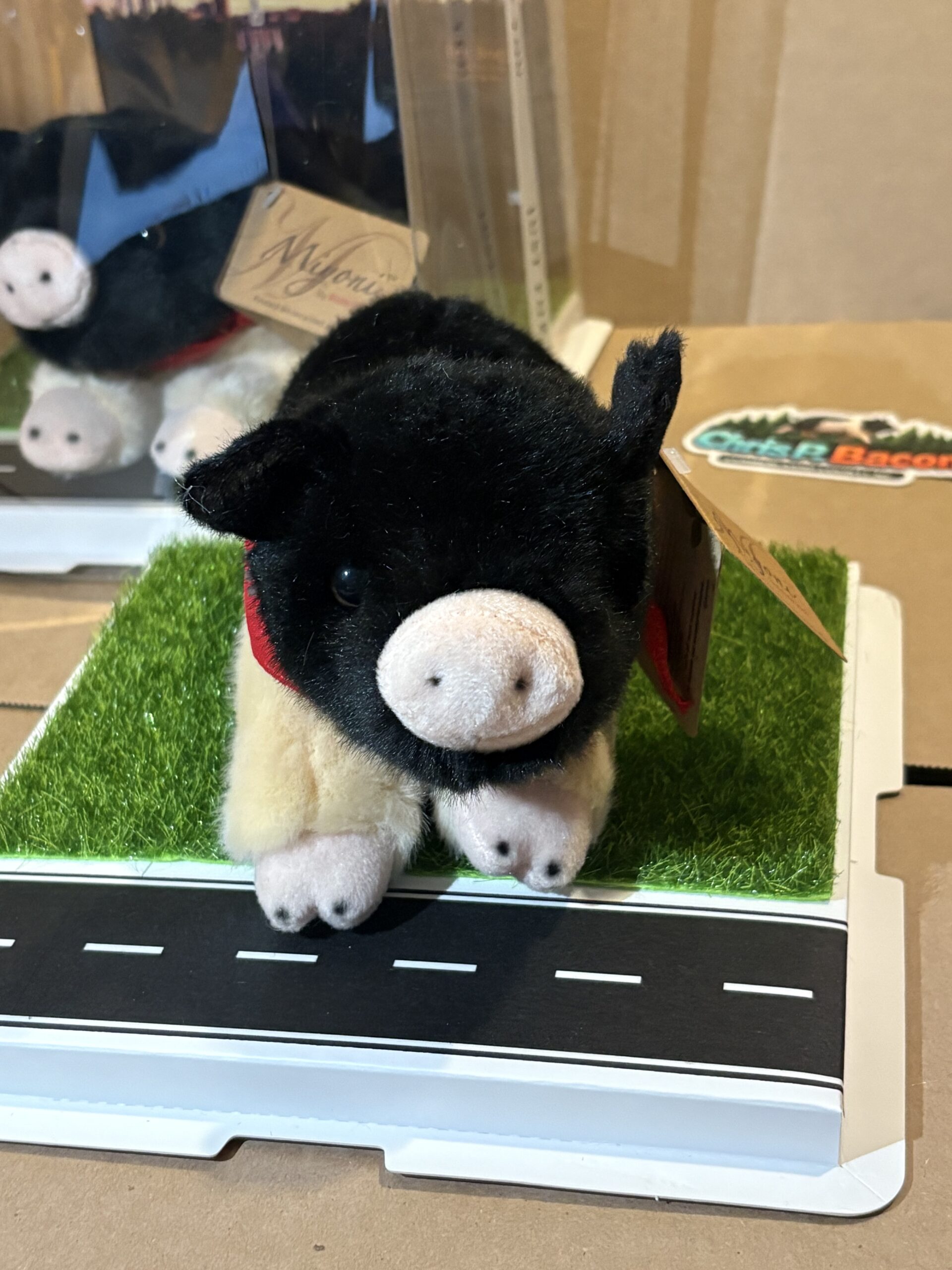 Chris P Bacon of Cumberland County Plushie and Display Box: LIMITED EDITION - Image 7
