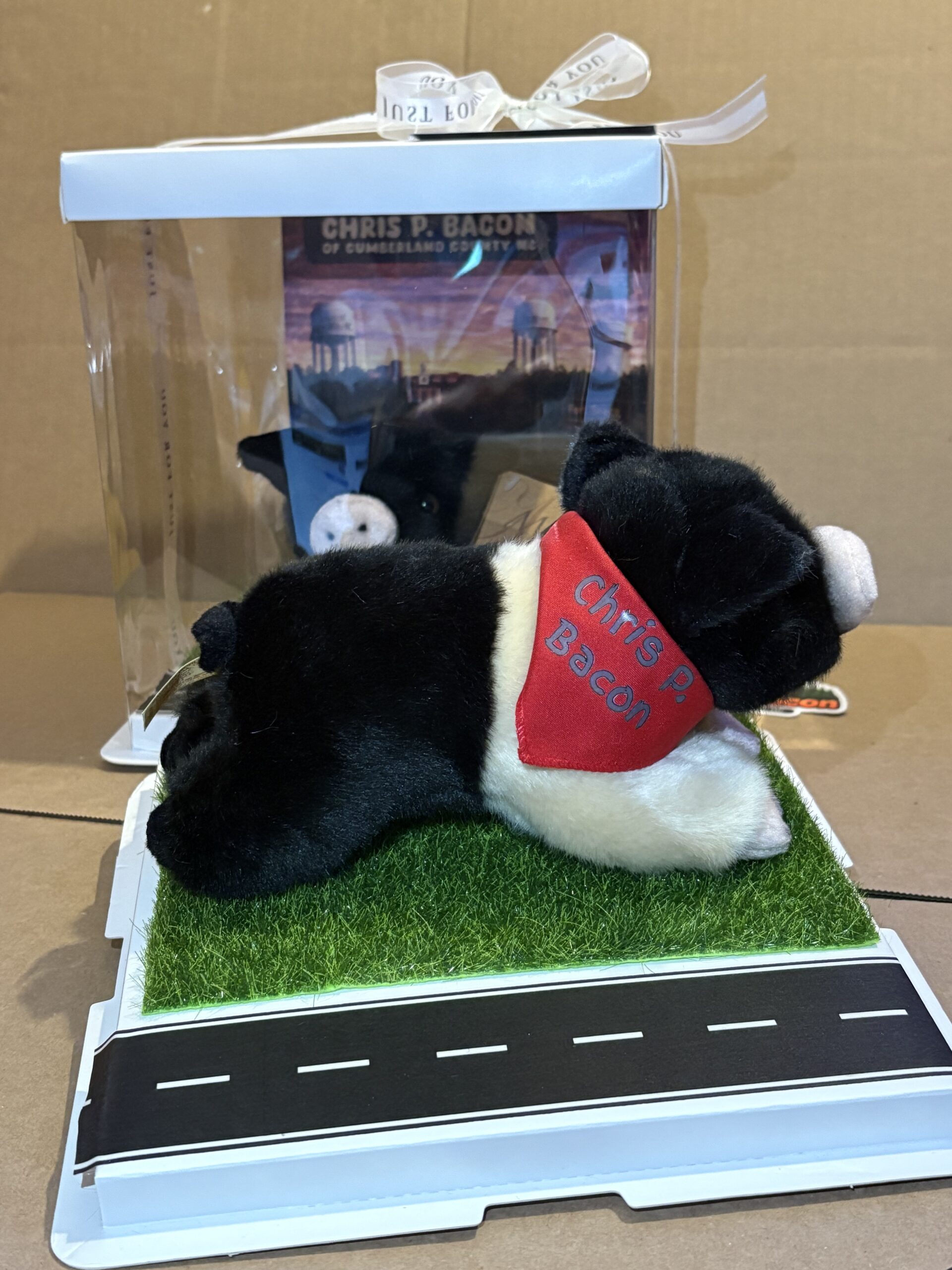 Chris P Bacon of Cumberland County Plushie and Display Box: LIMITED EDITION - Image 15