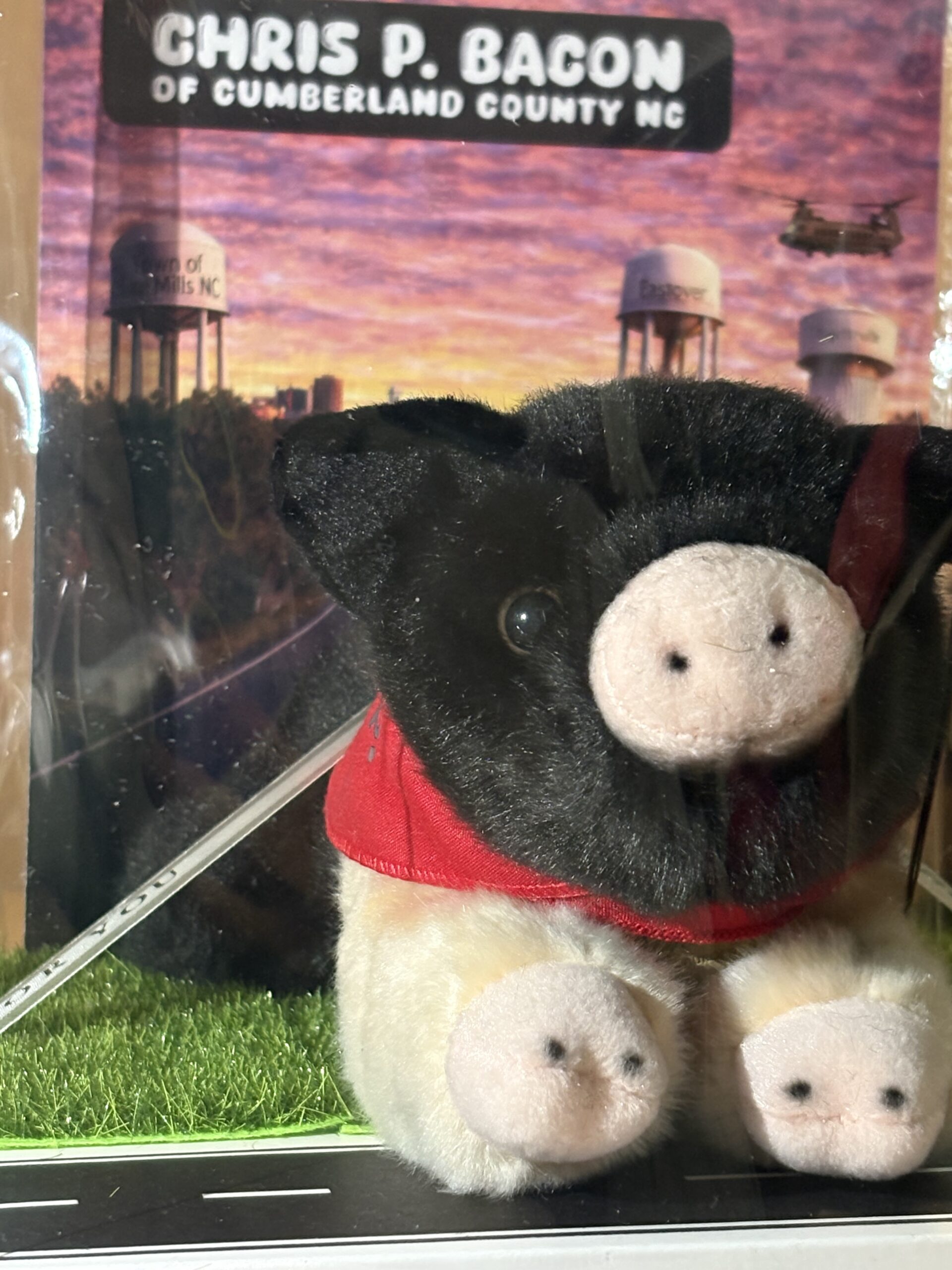 Chris P Bacon of Cumberland County Plushie and Display Box: LIMITED EDITION - Image 14