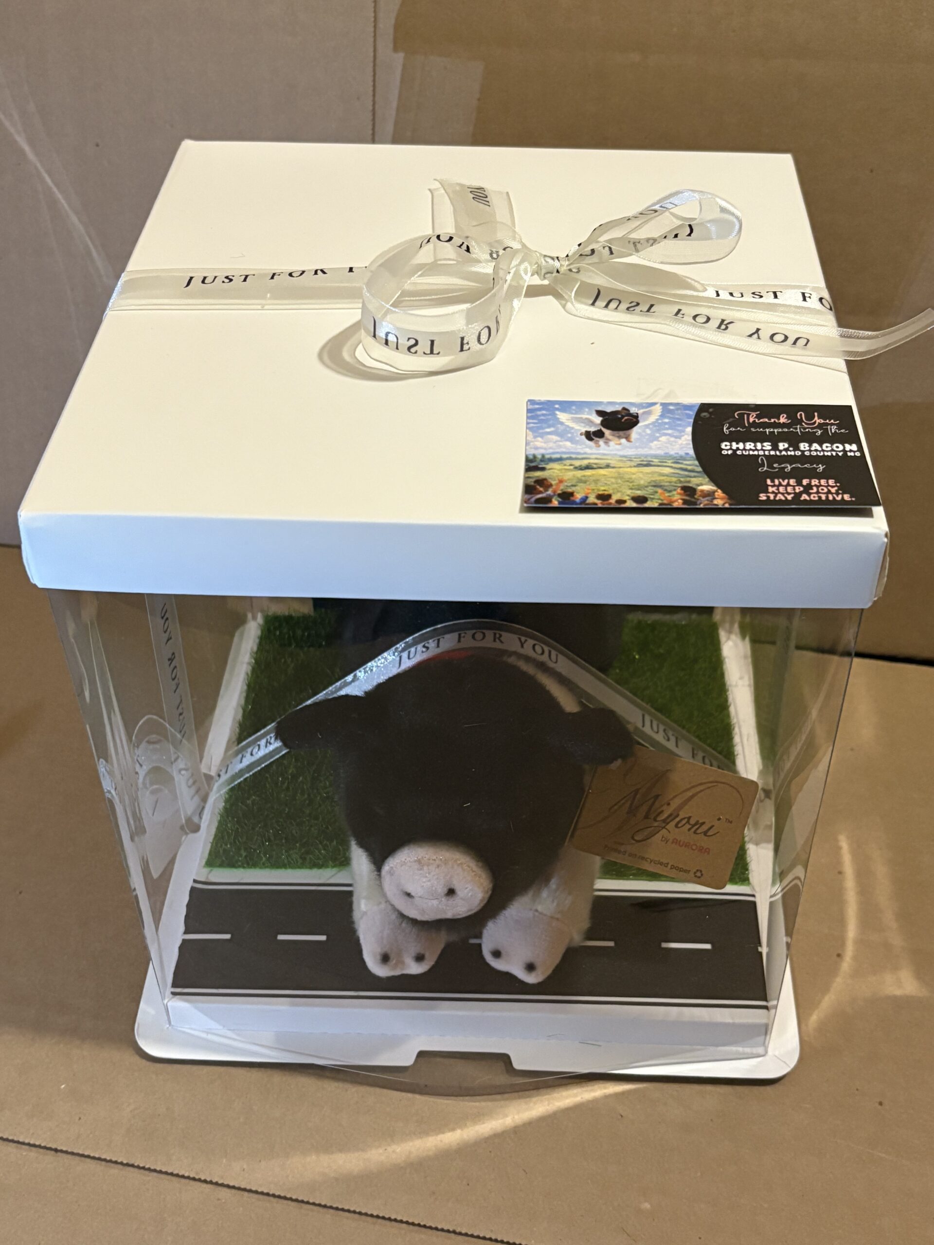 Chris P Bacon of Cumberland County Plushie and Display Box: LIMITED EDITION - Image 11