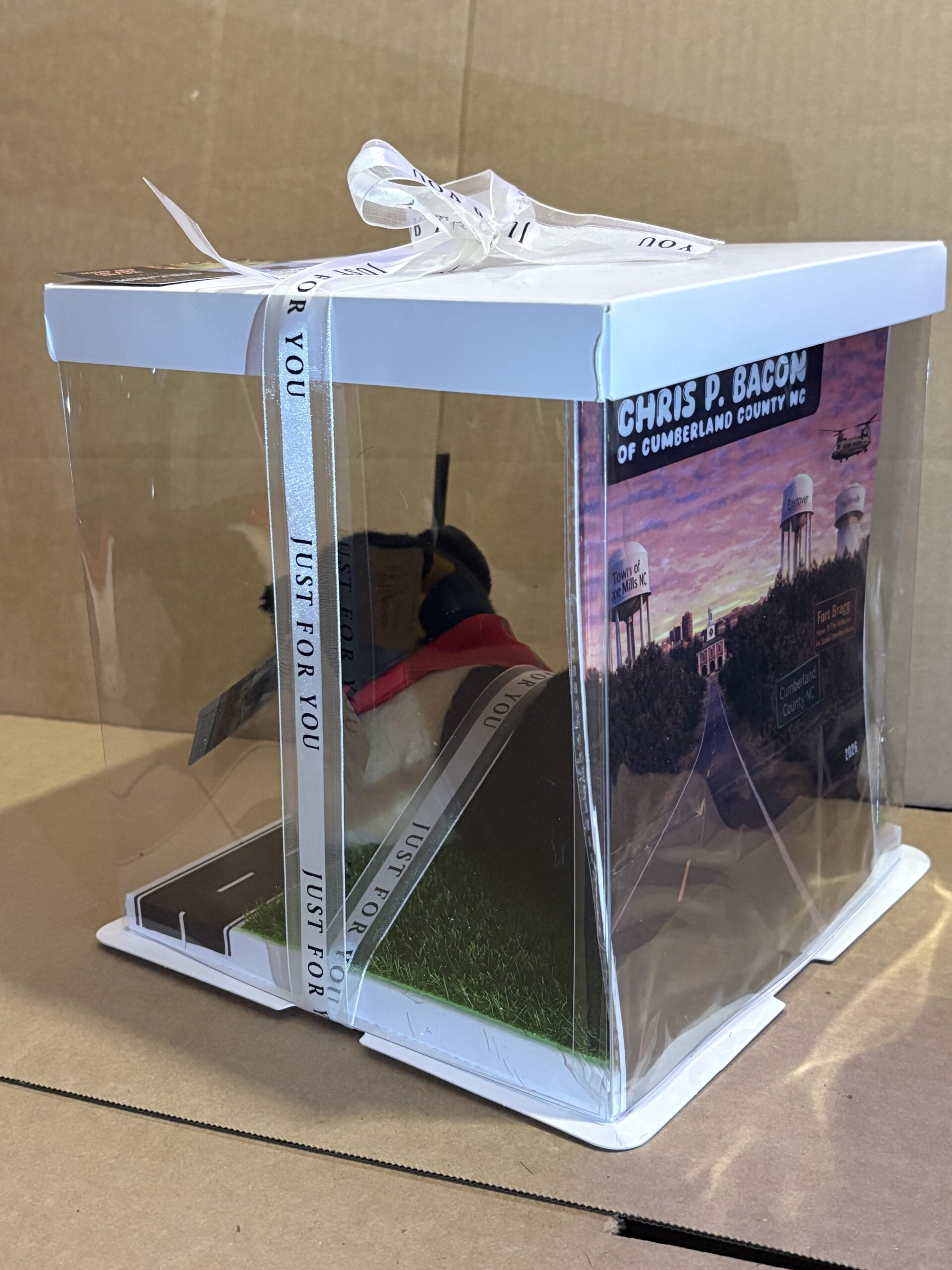 Chris P Bacon of Cumberland County Plushie and Display Box: LIMITED EDITION - Image 13