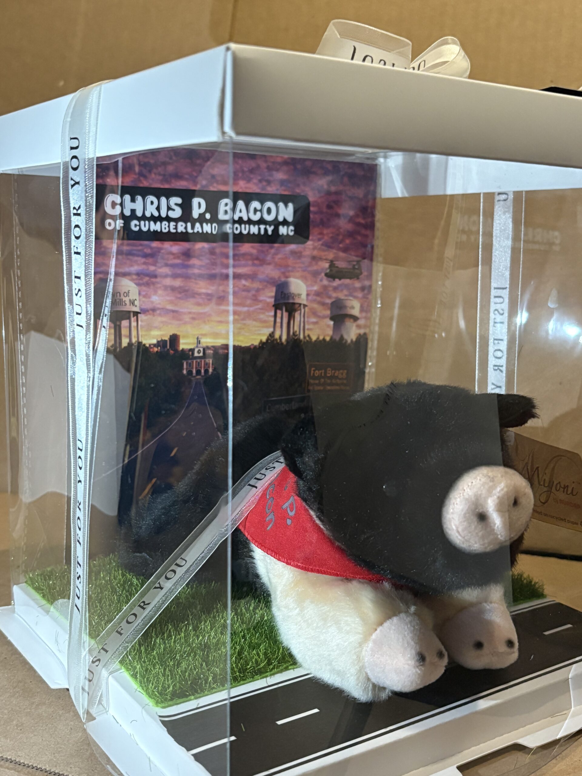 Chris P Bacon of Cumberland County Plushie and Display Box: LIMITED EDITION - Image 12