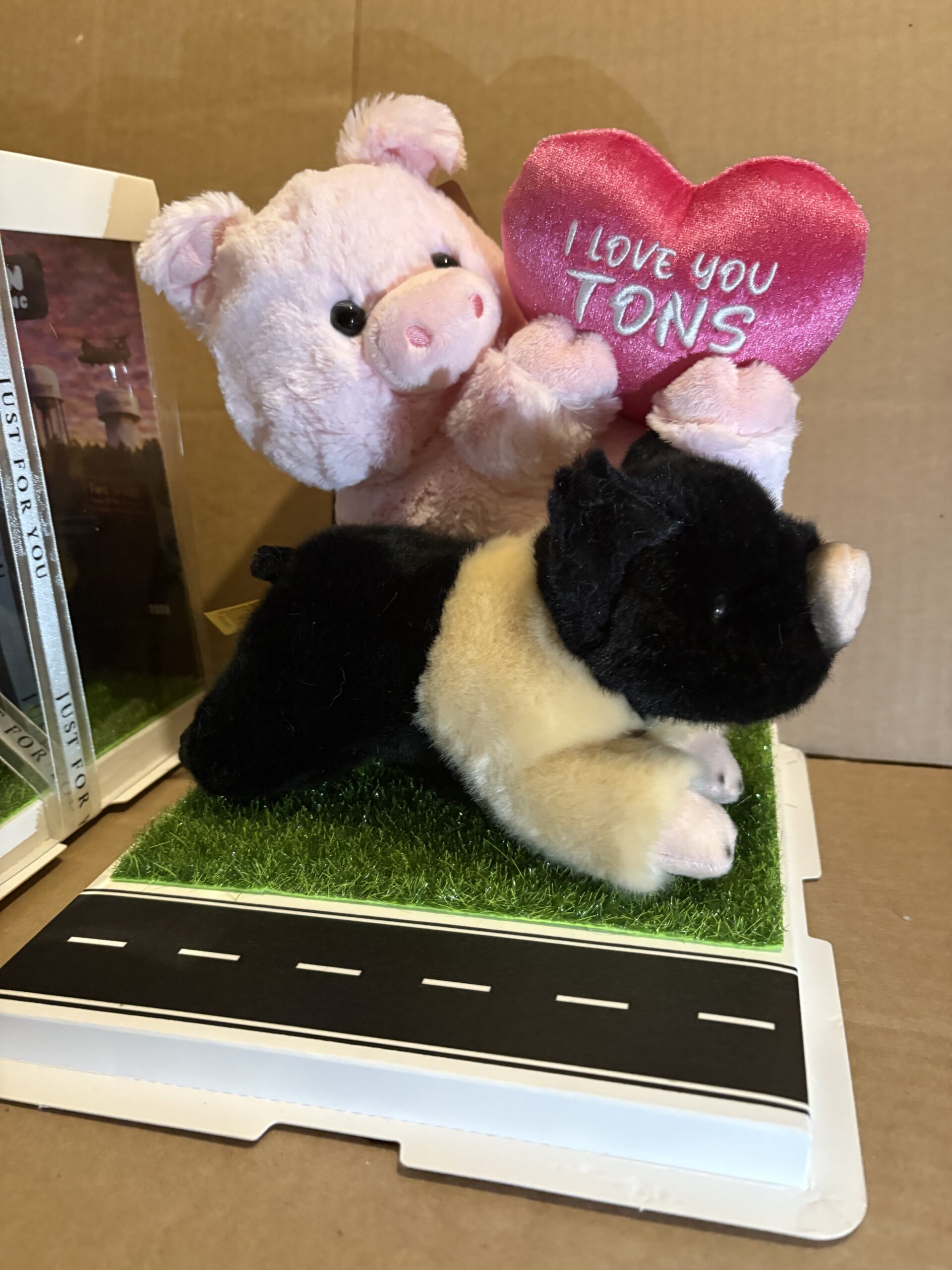 Chris P & Barbie Q COMBO Plushie and Display Box LIMITED EDITION Valentines 2026 - Image 11