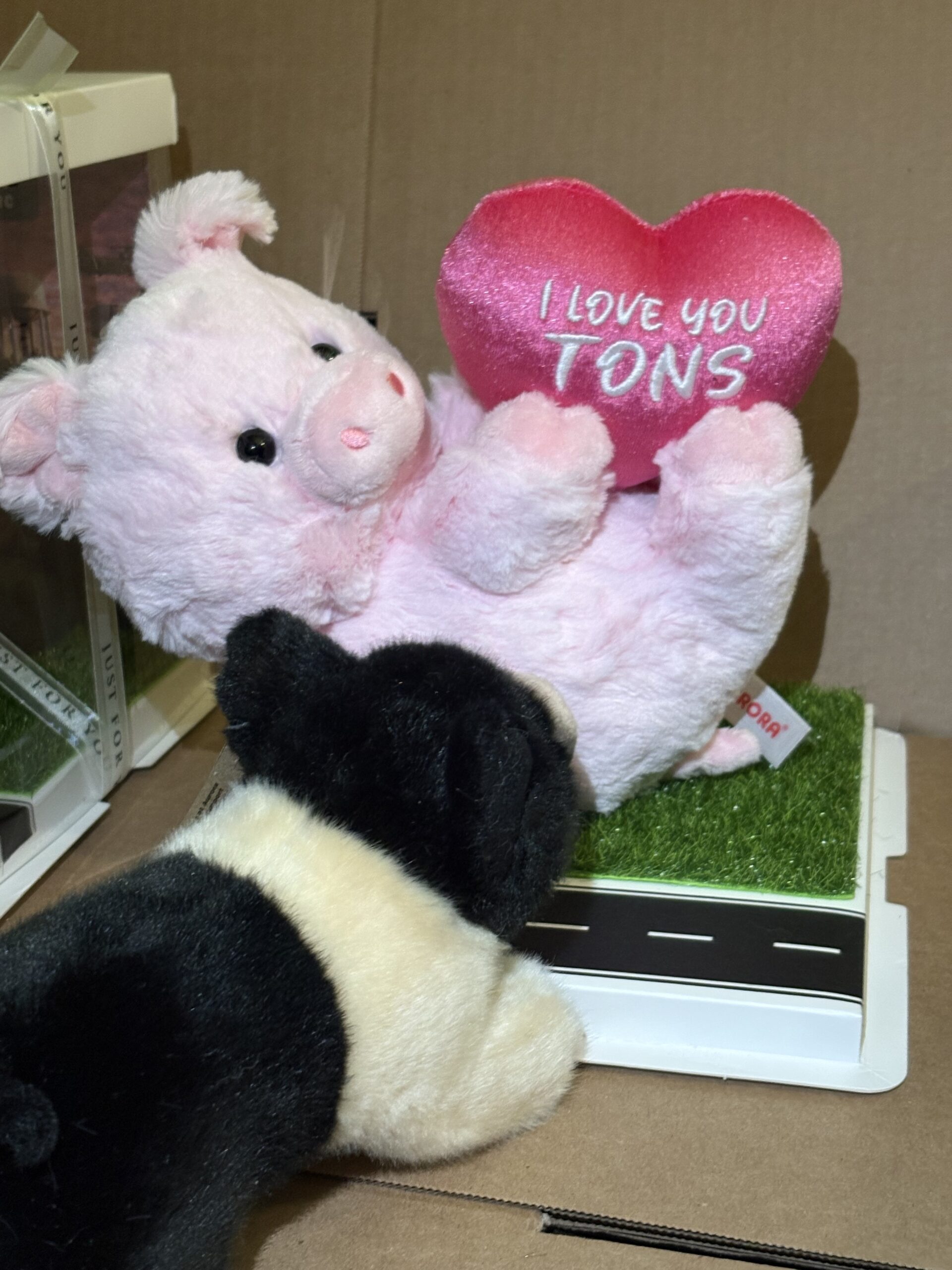 Chris P & Barbie Q COMBO Plushie and Display Box LIMITED EDITION Valentines 2026 - Image 6