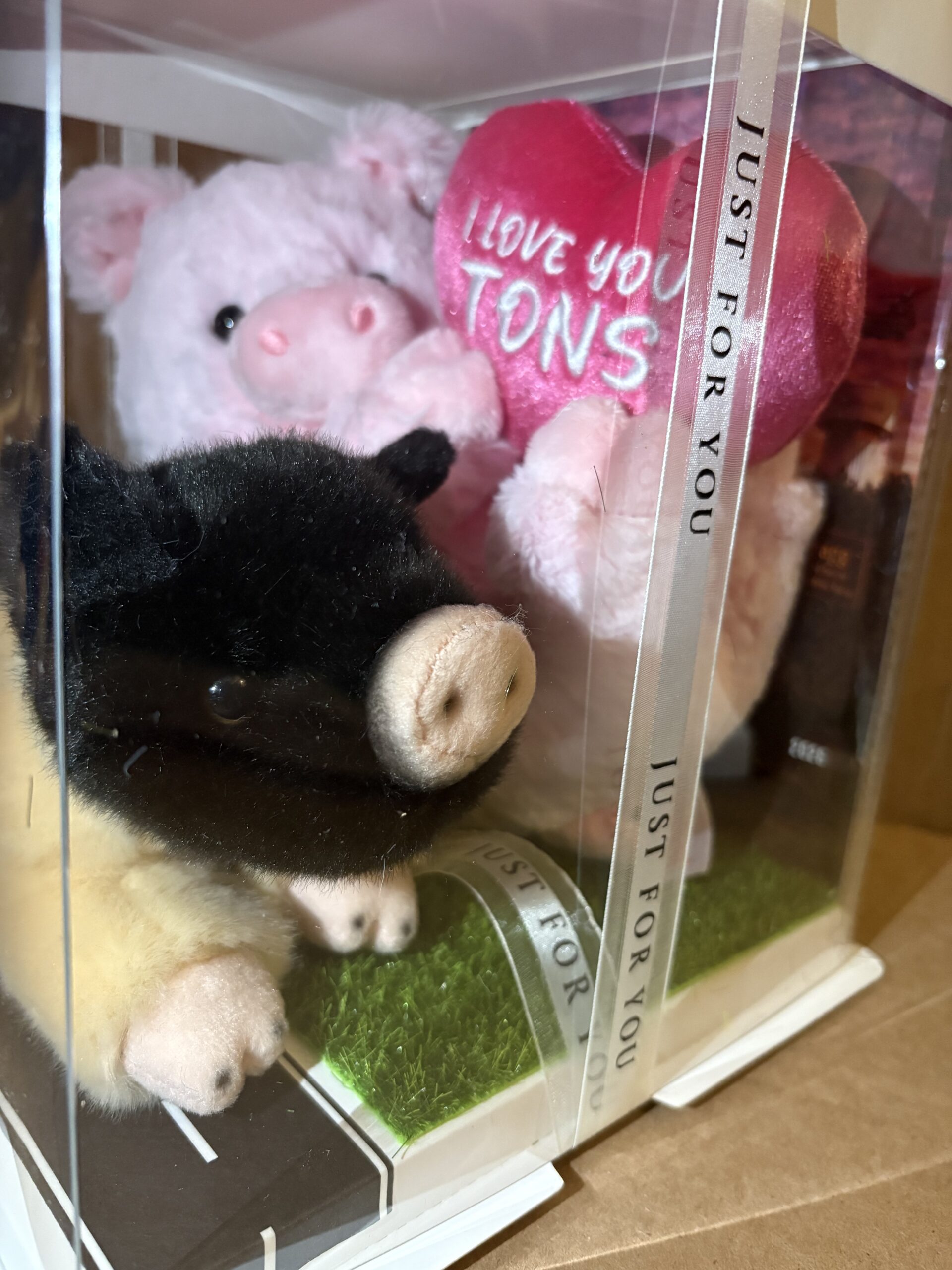Chris P & Barbie Q COMBO Plushie and Display Box LIMITED EDITION Valentines 2026 - Image 5