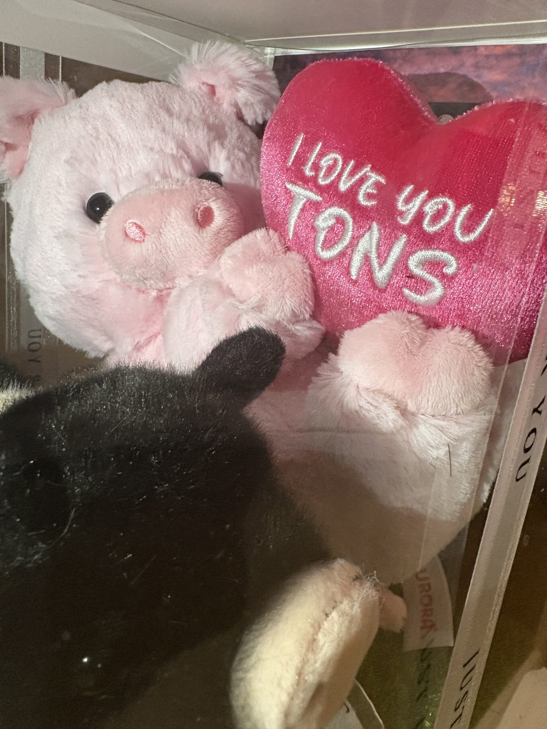 Chris P & Barbie Q COMBO Plushie and Display Box LIMITED EDITION Valentines 2026 - Image 4