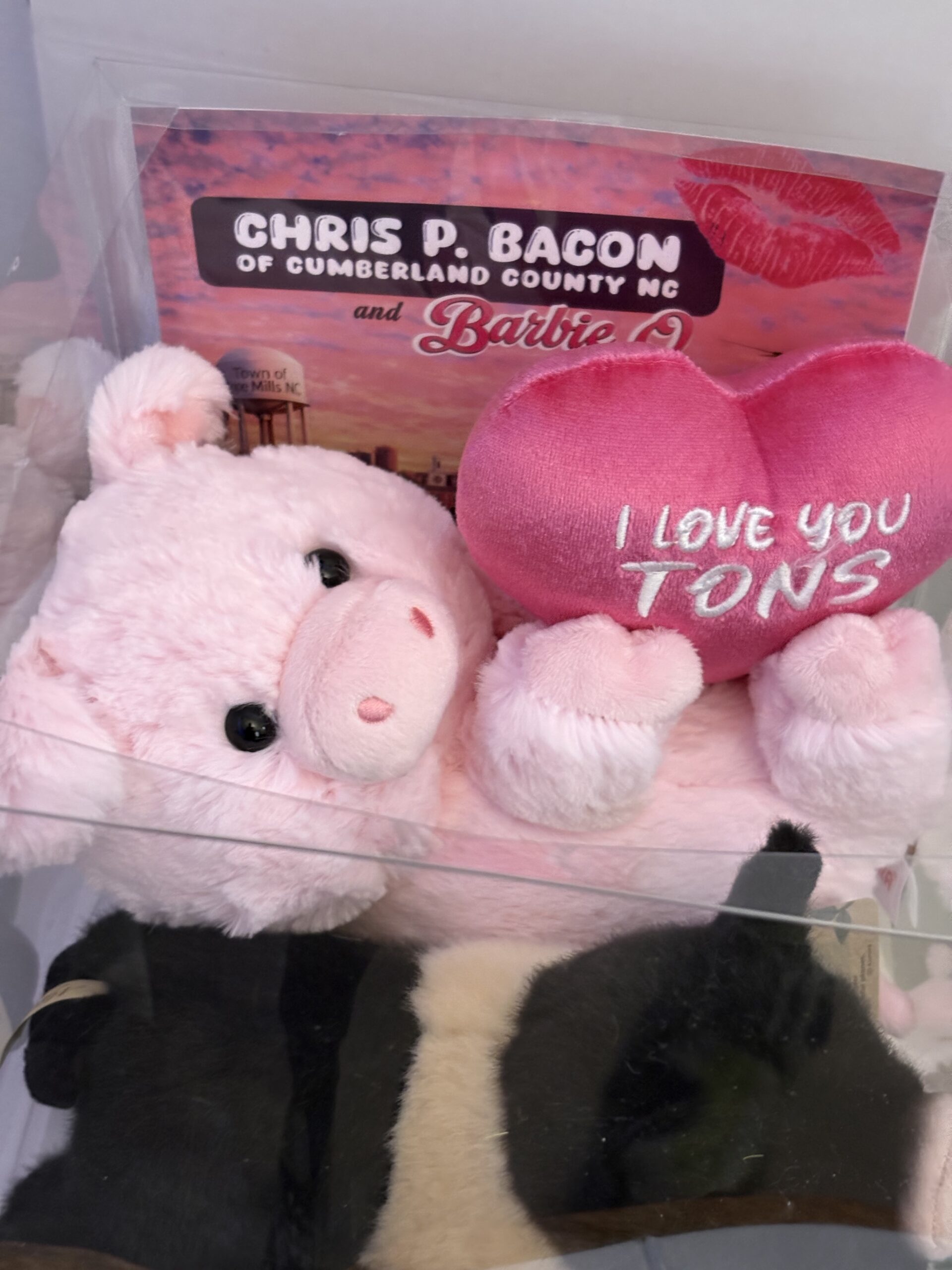 Chris P & Barbie Q COMBO Plushie and Display Box LIMITED EDITION Valentines 2026 - Image 12