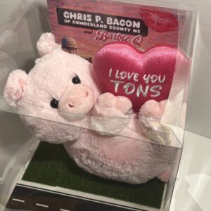 Barbie Q plushie with Display Box