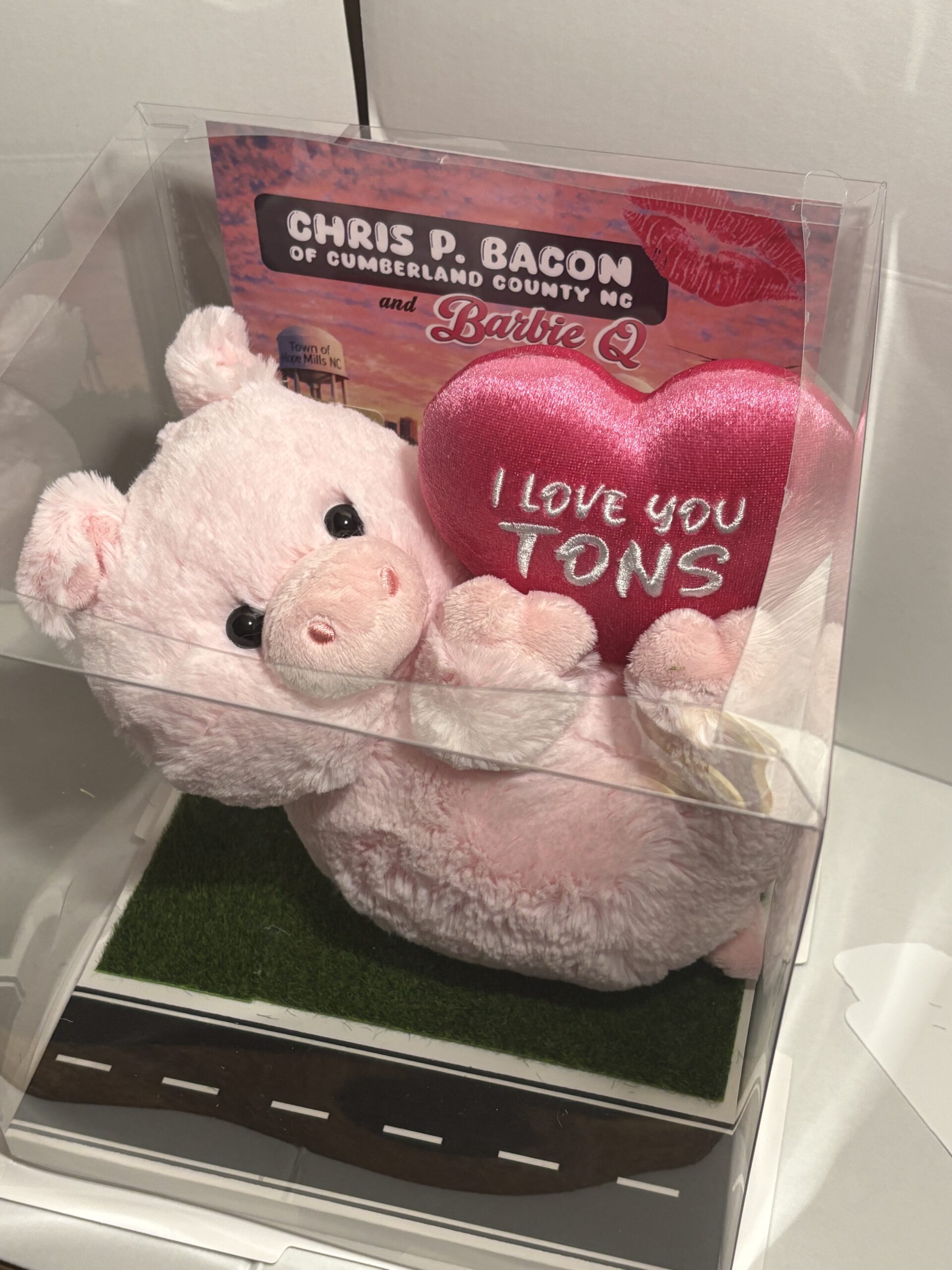 Barbie Q plushie with Display Box