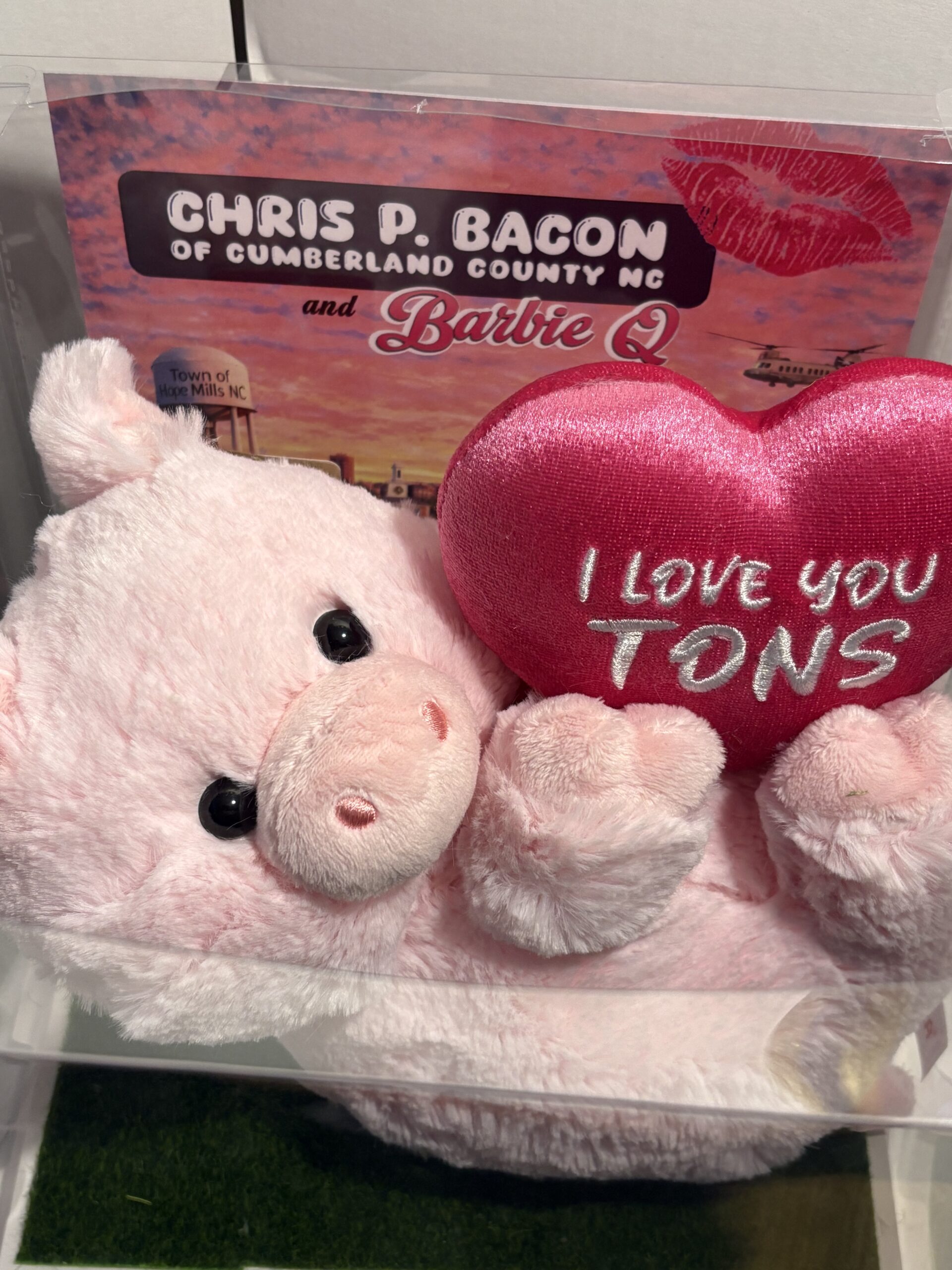 Barbie Q plushie with Display Box - Image 5