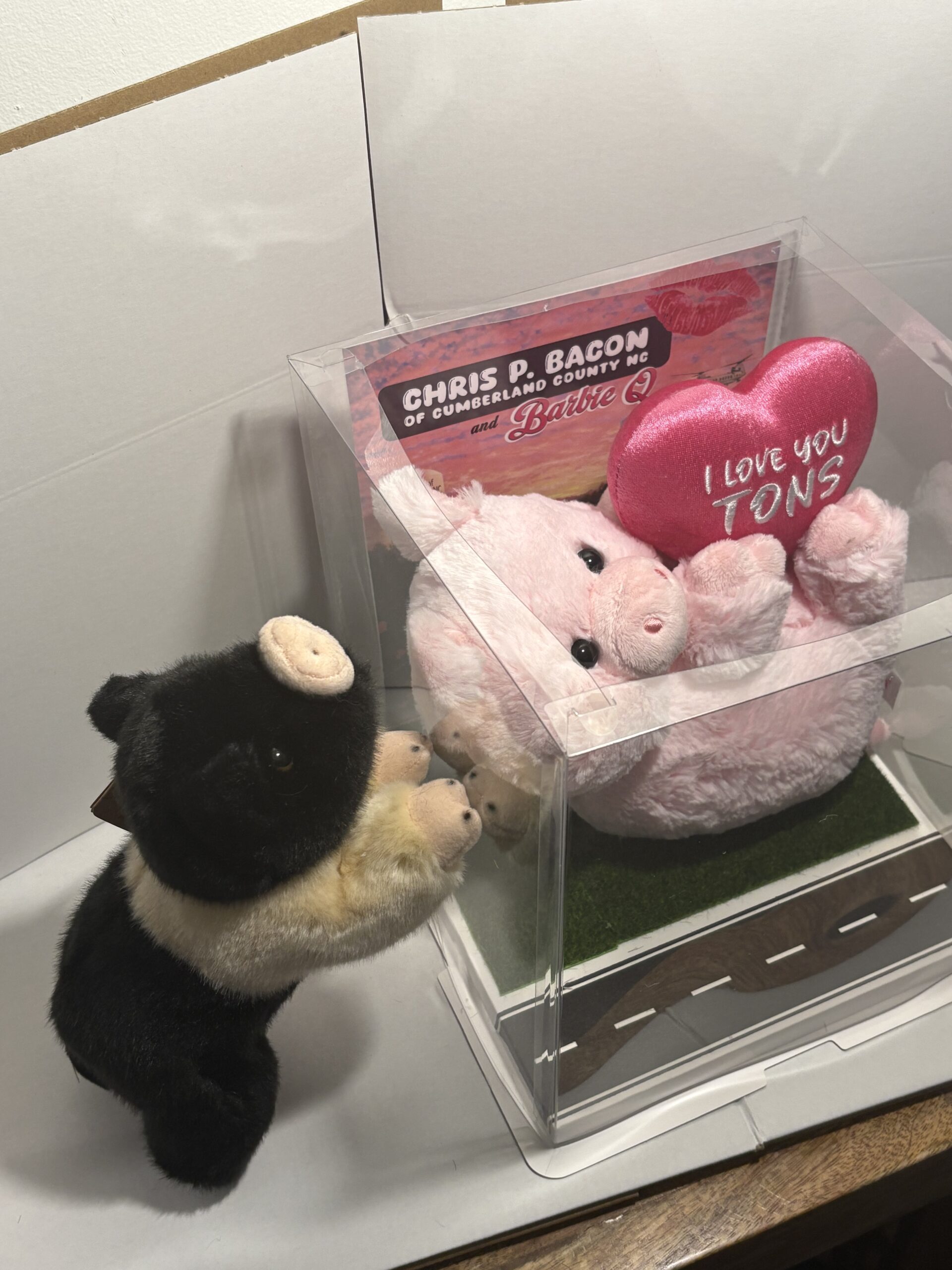 Barbie Q plushie with Display Box - Image 10