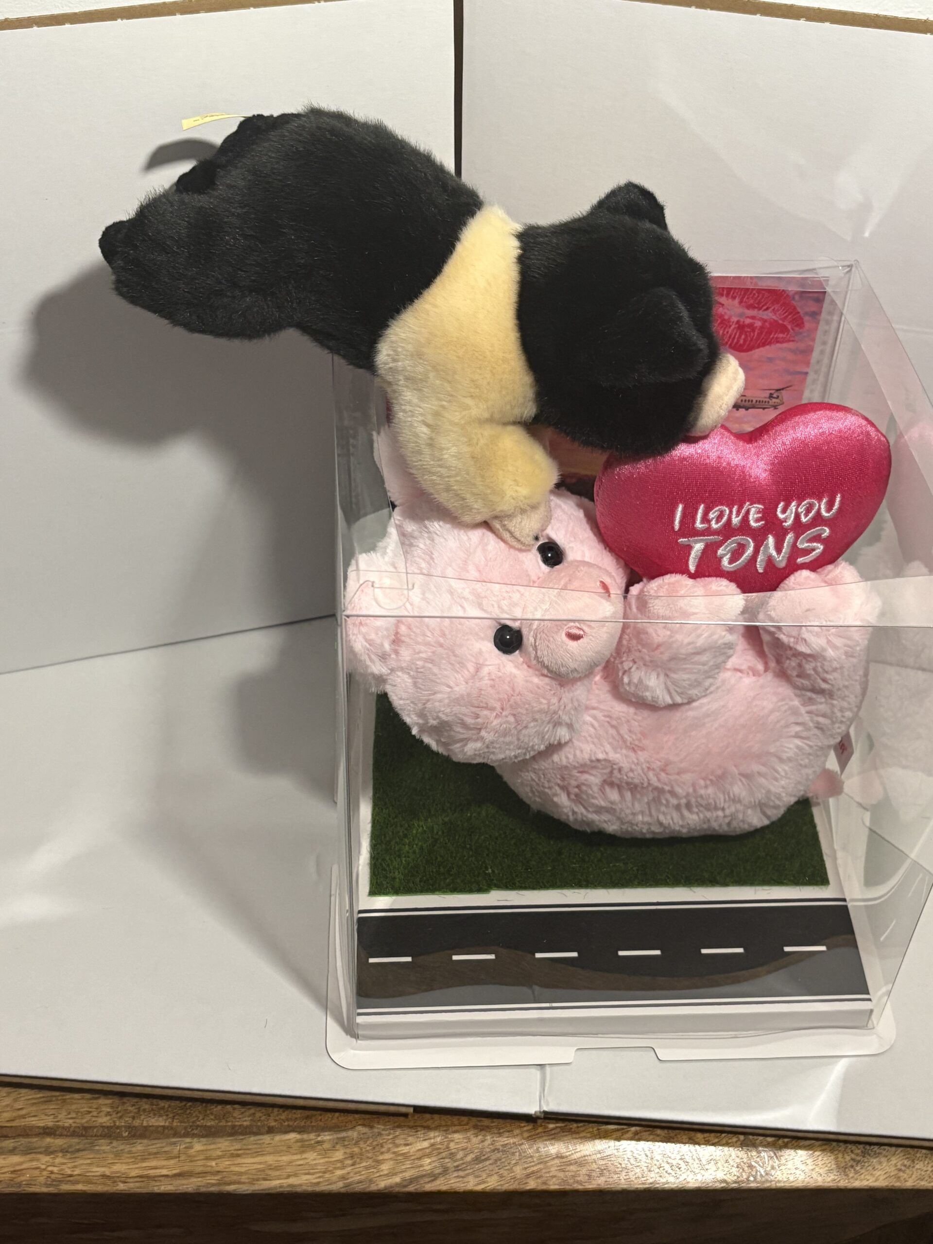 Barbie Q plushie with Display Box - Image 12