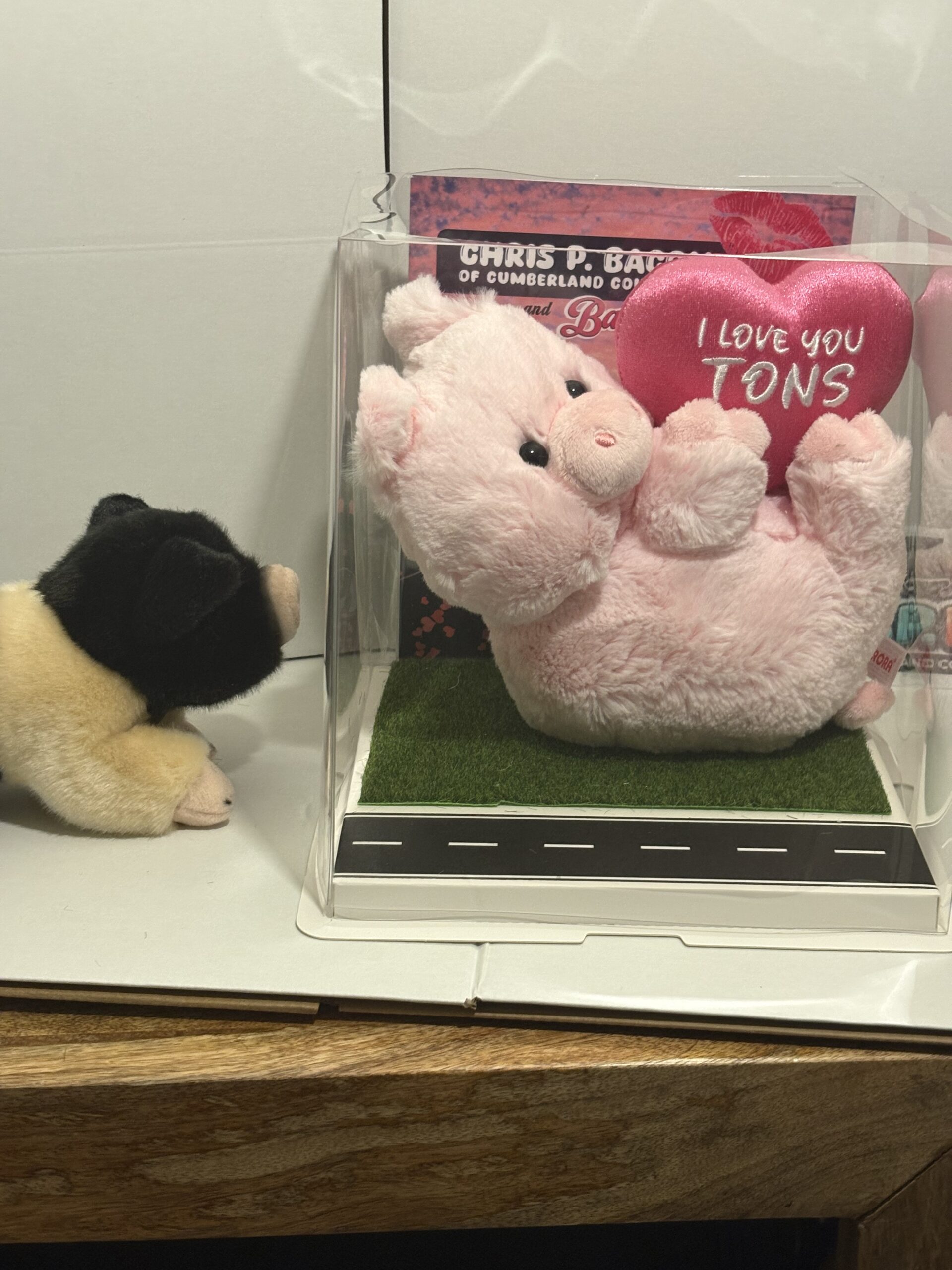 Barbie Q plushie with Display Box - Image 9