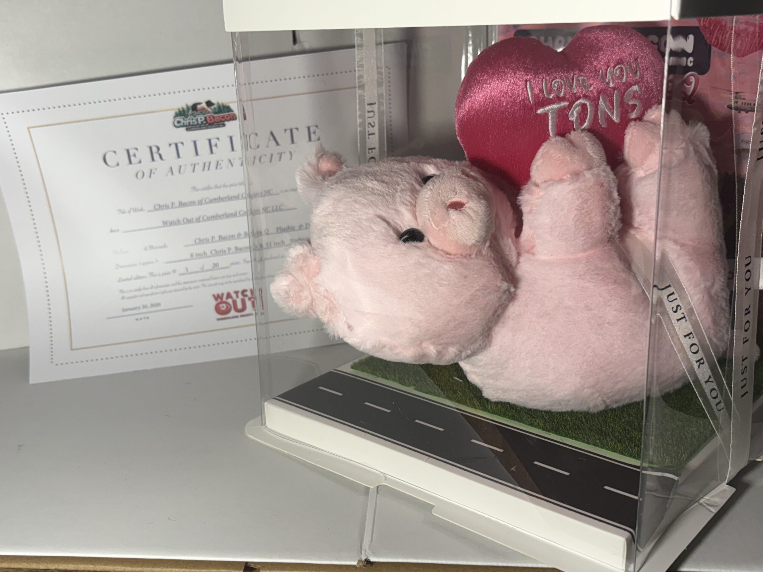 Barbie Q plushie with Display Box - Image 13