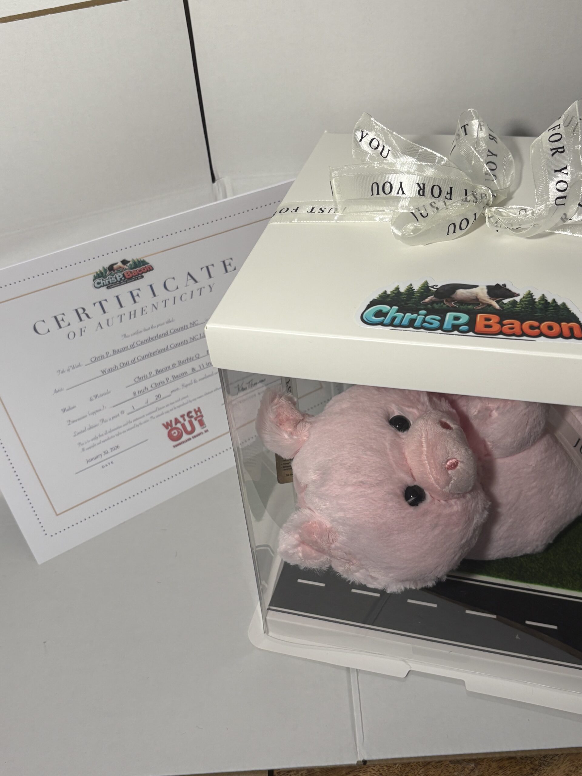 Barbie Q plushie with Display Box - Image 14